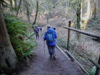 Heading down to cross a gully creek