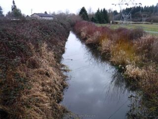 In this area the creek has been changed to water in a ditch