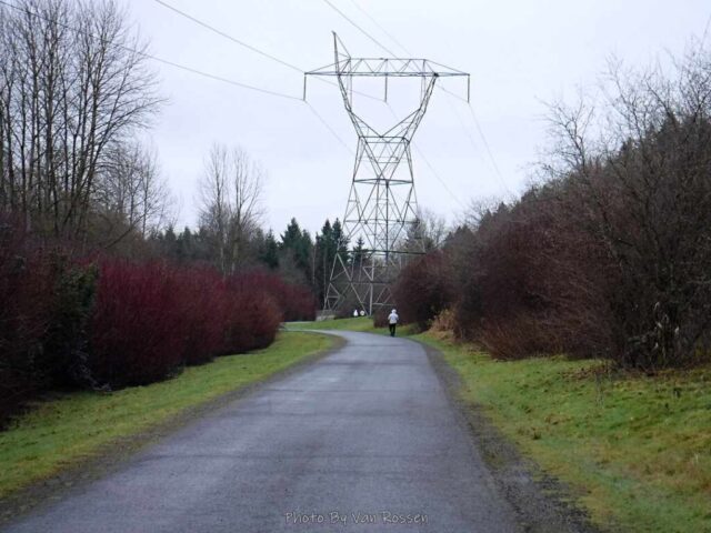The trail is an asphalt bike path mostly under powerlines