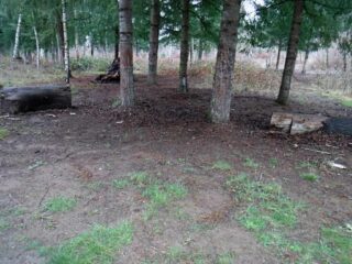 There was an abundance of great campsite by the trail