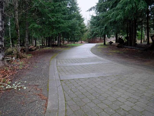 There are some spots where it wind through some trees