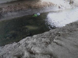 Is a salmon river but the water under the bridge says not yet