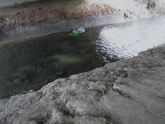 Is a salmon river but the water under the bridge says not yet