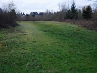 There a few nice green areas along the trail