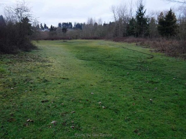 There a few nice green areas along the trail