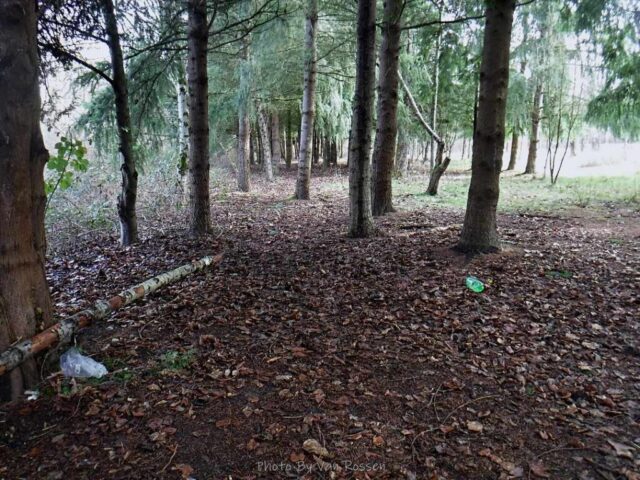 Camping areas stretch for a quarter mile along the creek