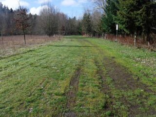 I found some greener of shout trail to go on