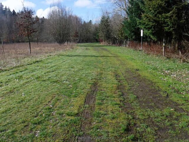 I found some greener of shout trail to go on