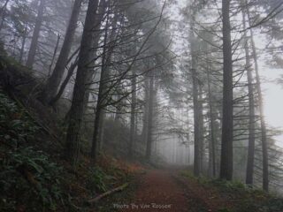 I started the hike in a fog.