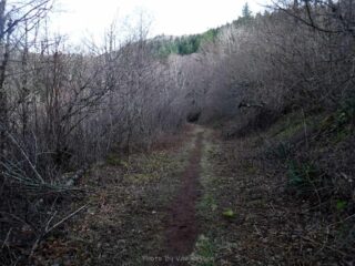 Heading up the west side trail