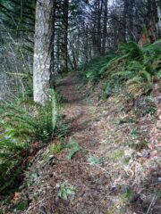 Off the the road and doing the switch back trail to the top