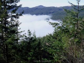 Fog had covered the basin