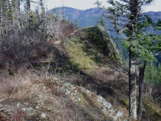 I made Point Good Enough my turn around spot