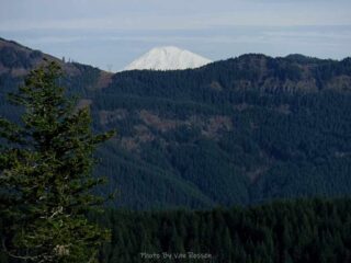 Snow covered Mt. Adams
