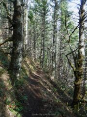 Heading down the Eastside with some breeze