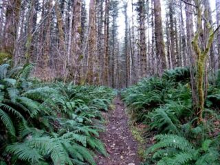 It starts climbing right from the start