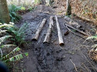 Needs some work on handling runoff water