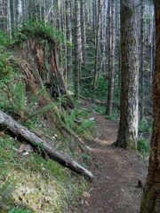 A rare flat spot on the trail