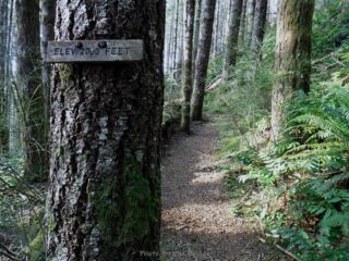 They let know when you make the 2000 ft. elv. mark