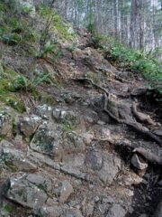 The trail starts getting much steeper near the summit