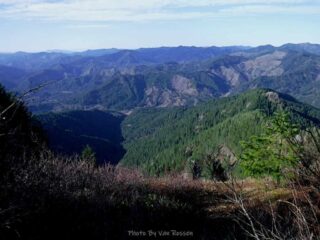 Nice view of the forest being clear cut