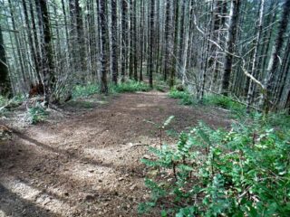 Getting back to regular trail