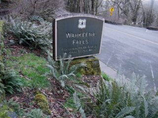 Starting out at Falls view area