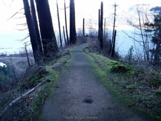 The trail out to the viewpoint