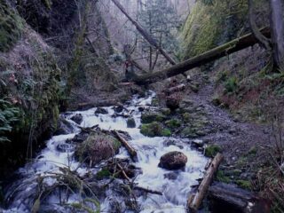 They manage to just shoe horn in a trail in the narrow gorge
