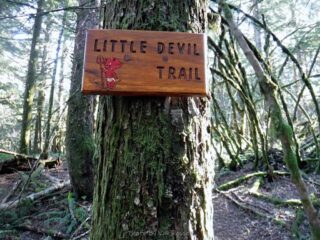 So this time I took the little Devil Trail