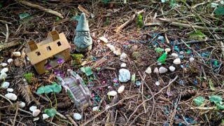 BurntCreek_IMG_20260322_093540112