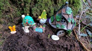 BurntCreek_IMG_20260322_094304160