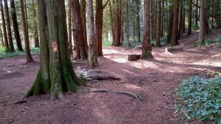 BurntCreek_IMG_20260322_094459071