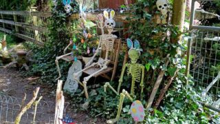 BurntCreek_IMG_20260322_101513944