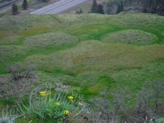 The area is made up of mounds