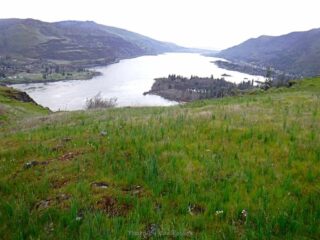A view up the Columbia River