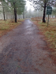 Starting on a wide smooth trail