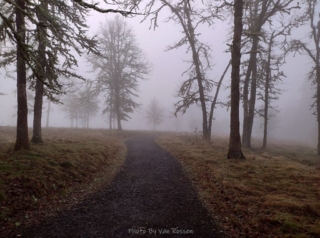 Trail heading down to the low point