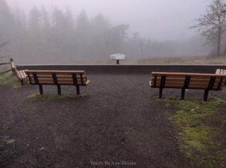 No view today from the view point