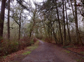 I started off on the old entry road