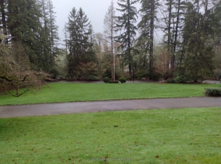 They would have had a view until the trees grew up