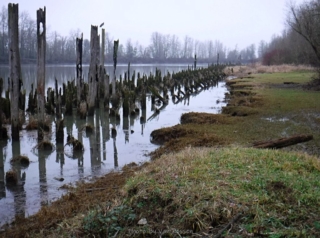 The remains of the old Warf