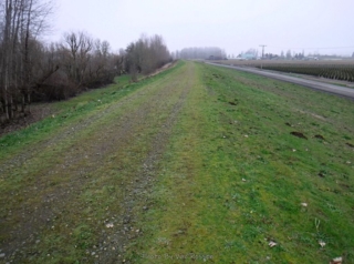 Heading out on Scappoose Dike