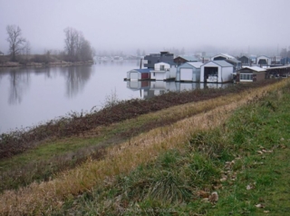 Fog hung over the area