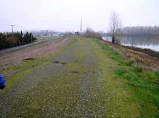 Heading back on the dike