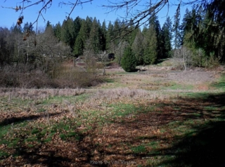 I entered crossing over the railroad tracks to this field
