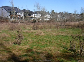Houses now back right up to the park
