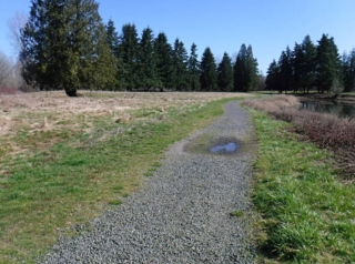 Most of the trail is on old gravel road beads