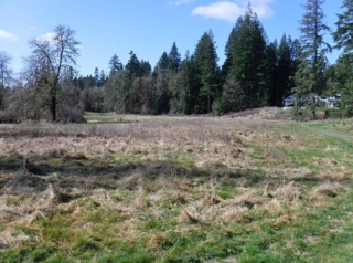 A long open fairway going wild