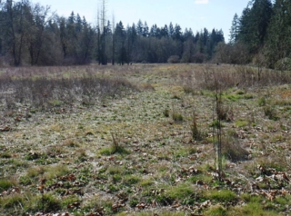 These open areas will be altered when file use plan is completed
